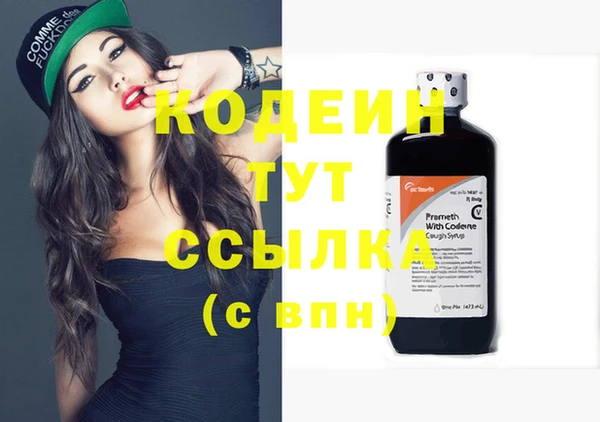 2c-b Горно-Алтайск