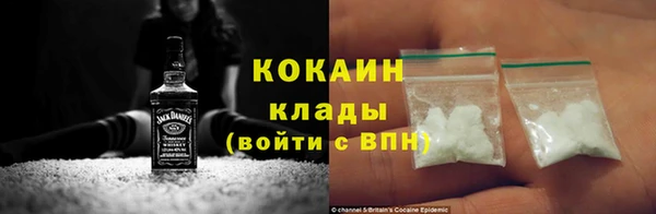 2c-b Горно-Алтайск