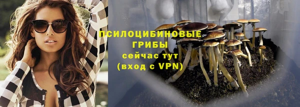 2c-b Горно-Алтайск